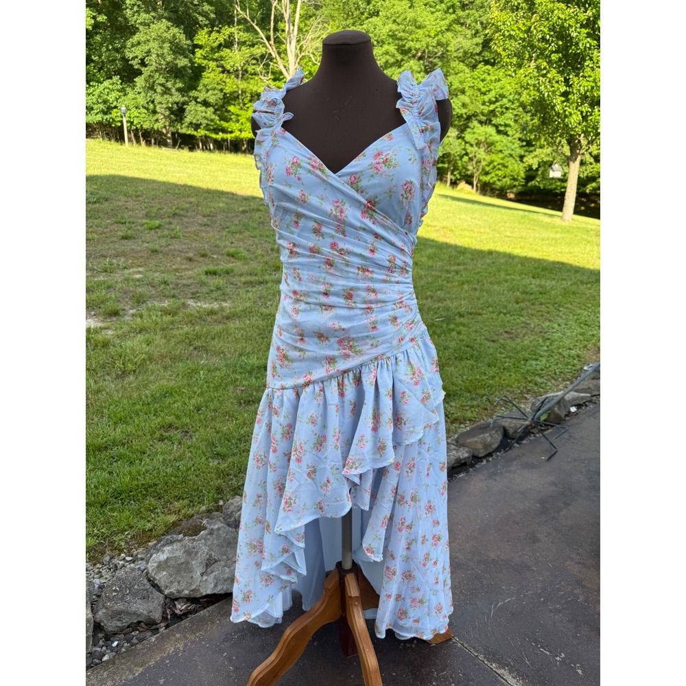 Abercrombie & Fitch Floral High-Low Ruffle Maxi Dressโ Blue Pink Size M feminine